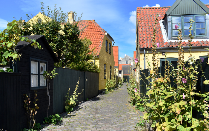 Ansøgning om ny dør
